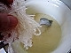 芒果豆奶布丁的做法图解5