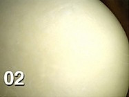 可可戚风蛋糕土司的做法图解5