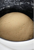 香葱胡萝卜花卷的做法图解2