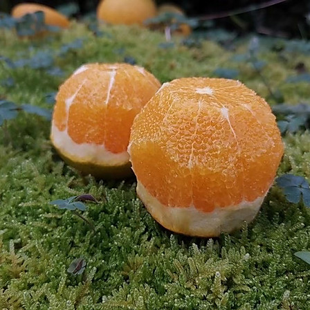 当季水果新鲜橙子麻阳冰糖橙精选大果9斤约25个（含箱重）