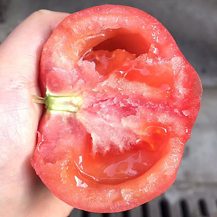 归田居 丨 普罗旺斯水果西红柿 4.5斤